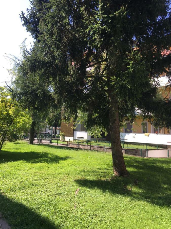 Il Contrabbasso Cremona Buitenkant foto